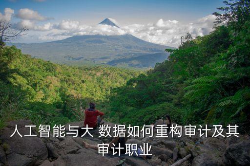 人工智能與大 數(shù)據(jù)如何重構(gòu)審計及其審計職業(yè)