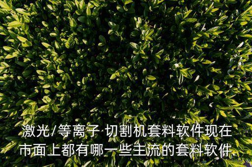  激光/等離子 切割機(jī)套料軟件現(xiàn)在市面上都有哪一些主流的套料軟件