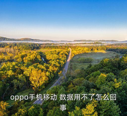 oppo手機(jī)移動(dòng) 數(shù)據(jù)用不了怎么回事