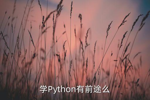 學(xué)Python有前途么