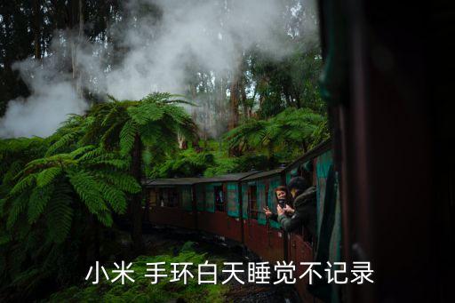  小米 手環(huán)白天睡覺不記錄