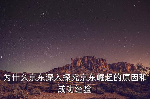 為什么京東深入探究京東崛起的原因和成功經(jīng)驗(yàn)
