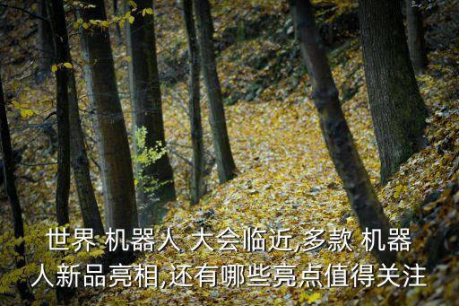 機(jī)器人大會(huì)2017好玩嗎