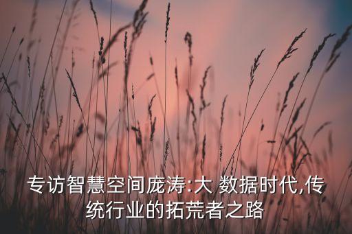 專訪智慧空間龐濤:大 數(shù)據(jù)時代,傳統(tǒng)行業(yè)的拓荒者之路