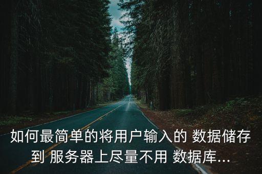 如何最簡單的將用戶輸入的 數(shù)據儲存到 服務器上盡量不用 數(shù)據庫...