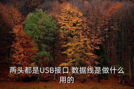 兩頭都是USB接口 數(shù)據(jù)線是做什么用的