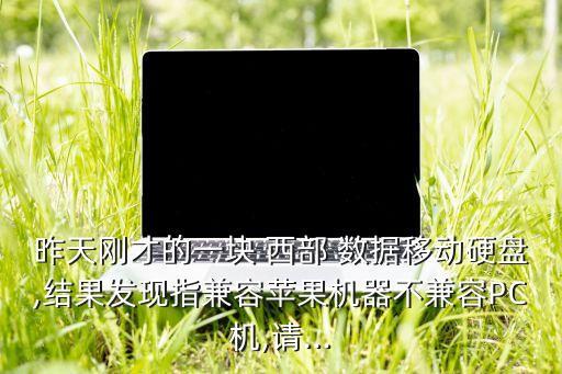 昨天剛才的一塊 西部 數(shù)據(jù)移動硬盤,結(jié)果發(fā)現(xiàn)指兼容蘋果機器不兼容PC機,請...
