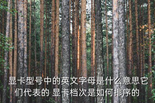  顯卡型號中的英文字母是什么意思它們代表的 顯卡檔次是如何排序的