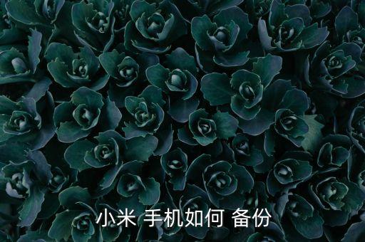 小米 手機(jī)如何 備份