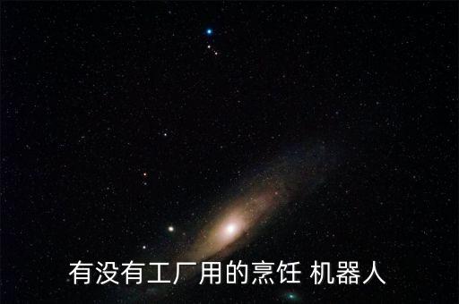 有沒有工廠用的烹飪 機(jī)器人