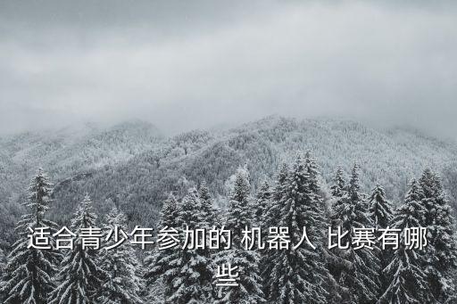 適合青少年參加的 機(jī)器人 比賽有哪些
