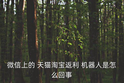 微信上的 天貓?zhí)詫毞道?機(jī)器人是怎么回事
