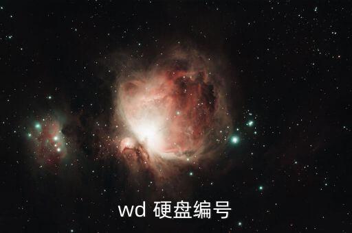 西部數(shù)據(jù)硬盤JB系列