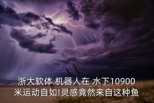 水下 機器人 新材料,水下機器人的用途和功能