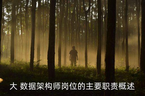 大 數(shù)據(jù)架構師崗位的主要職責概述