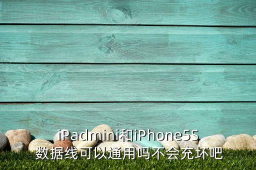 ipadmini數(shù)據(jù)線和