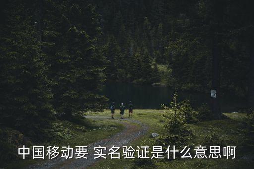 數(shù)據(jù)卡也要實(shí)名,游戲?qū)嵜麛?shù)據(jù)是給誰(shuí)