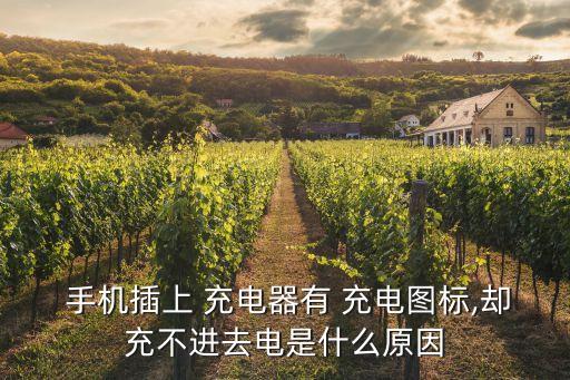  手機插上 充電器有 充電圖標,卻充不進去電是什么原因
