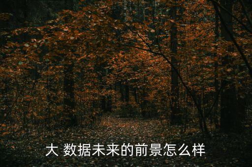 大 數(shù)據(jù)未來的前景怎么樣