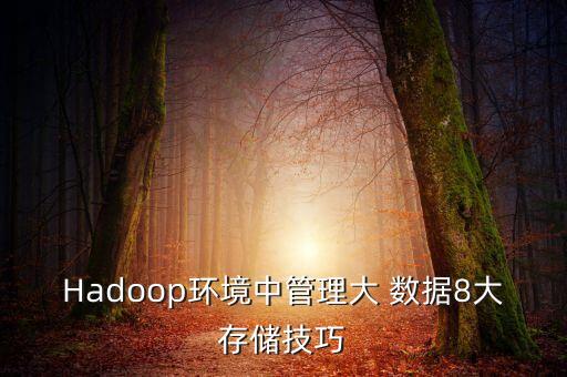 Hadoop環(huán)境中管理大 數(shù)據(jù)8大存儲技巧
