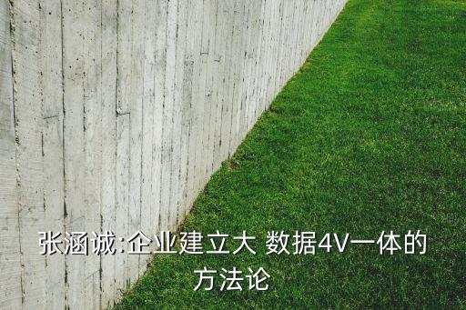 張涵誠(chéng):企業(yè)建立大 數(shù)據(jù)4V一體的方法論