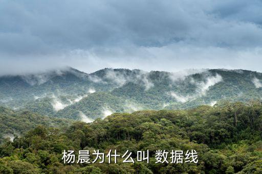 女生數(shù)據(jù)線,女生身上的數(shù)據(jù)線是什么