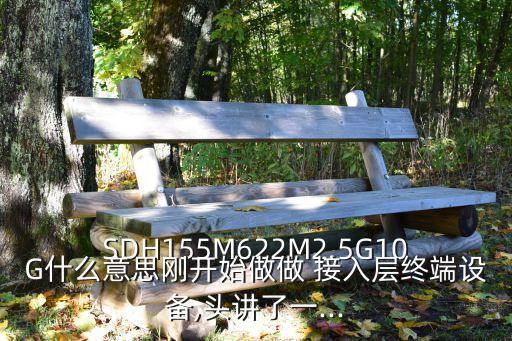 接入層 存儲層 大數據