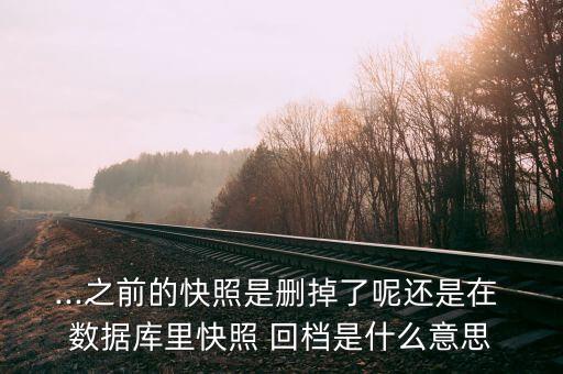 ...之前的快照是刪掉了呢還是在 數(shù)據(jù)庫里快照 回檔是什么意思