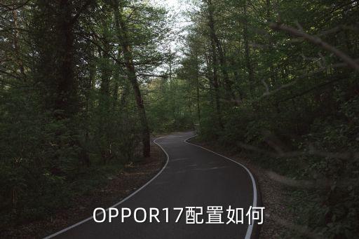 OPPOR17配置如何