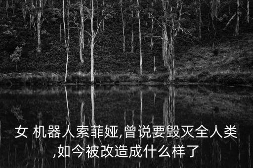 女 機器人索菲婭,曾說要毀滅全人類,如今被改造成什么樣了