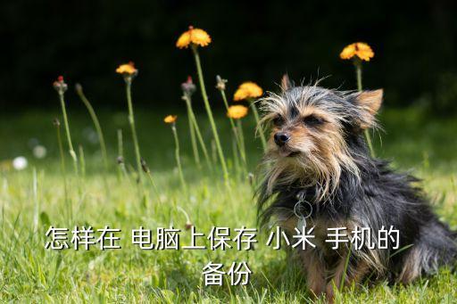 小米手機(jī)數(shù)據(jù)怎么備份到電腦,小米備份的數(shù)據(jù)怎么恢復(fù)到手機(jī)上