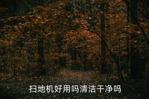 掃地機器人視覺導航激光