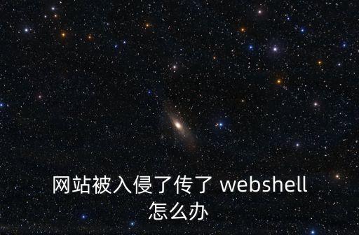 webshell 數(shù)據(jù)庫備份