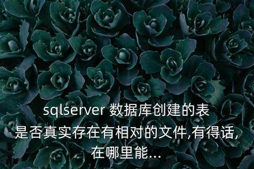 sqlserver 數(shù)據(jù)庫(kù)創(chuàng)建的表是否真實(shí)存在有相對(duì)的文件,有得話,在哪里能...