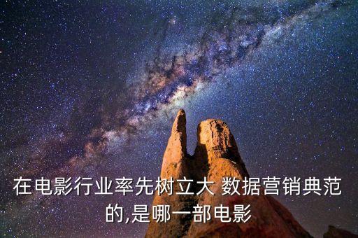 在電影行業(yè)率先樹立大 數(shù)據(jù)營(yíng)銷典范的,是哪一部電影