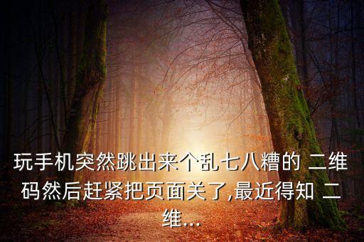 二維碼數(shù)據(jù)木馬,可能攜帶病毒或木馬? A二維碼