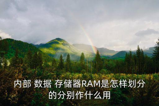 數(shù)據(jù)存儲器,在單片機(jī)中什么是數(shù)據(jù)存儲器
