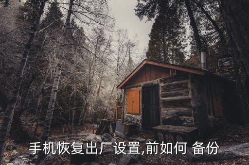 頂尖 顯示數(shù)據(jù)備份,手機為什么老是顯示數(shù)據(jù)備份