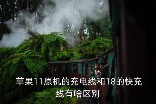  蘋果11原機的充電線和18的快充線有啥區(qū)別