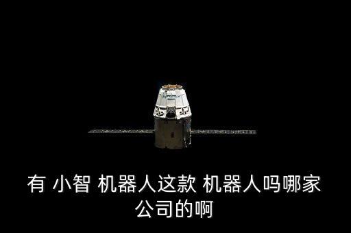 有 小智 機器人這款 機器人嗎哪家公司的啊