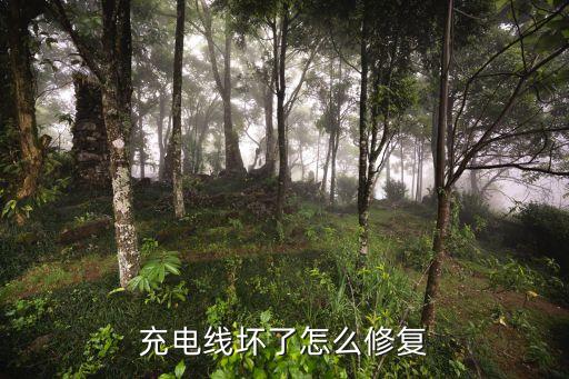 數(shù)據(jù)線注意事項
