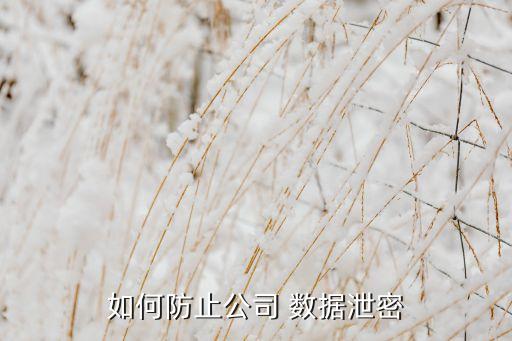 如何防止公司 數(shù)據(jù)泄密