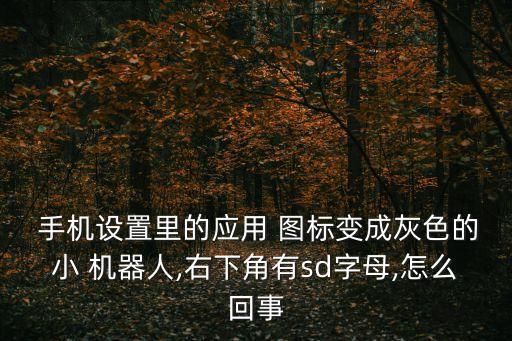  手機設置里的應用 圖標變成灰色的小 機器人,右下角有sd字母,怎么回事