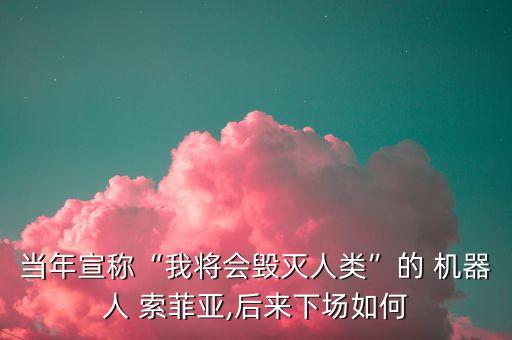當(dāng)年宣稱“我將會(huì)毀滅人類”的 機(jī)器人 索菲亞,后來下場如何