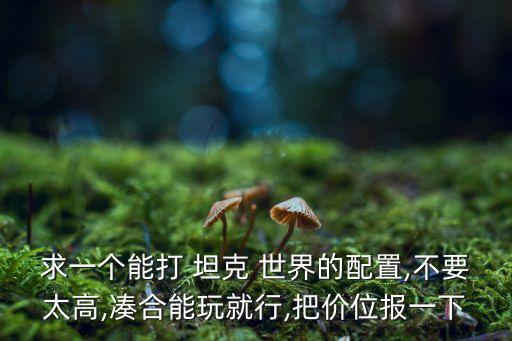 求一個能打 坦克 世界的配置,不要太高,湊合能玩就行,把價位報一下