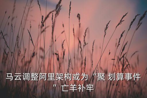馬云調(diào)整阿里架構(gòu)或?yàn)椤熬?劃算事件”亡羊補(bǔ)牢