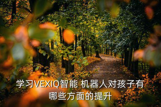 vex iq機(jī)器人編程