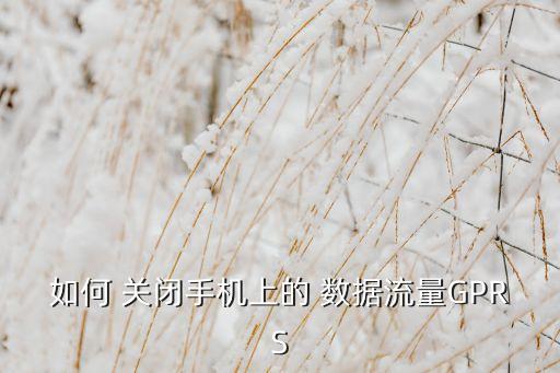 如何 關(guān)閉手機(jī)上的 數(shù)據(jù)流量GPRS