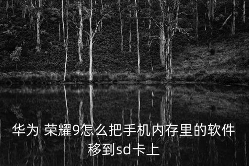 榮耀9數(shù)據(jù)設(shè)置,榮耀手機(jī)怎么設(shè)置數(shù)據(jù)用哪個(gè)卡