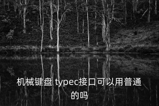 機(jī)械鍵盤 typec接口可以用普通的嗎